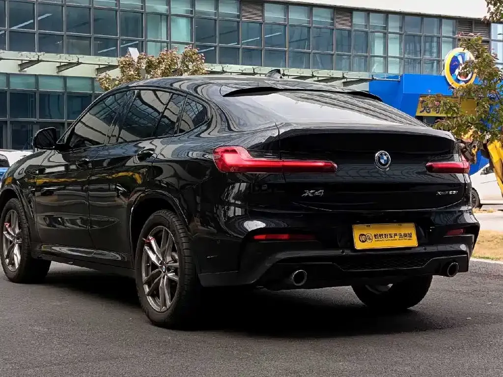 BMW X4 2021 из CN, фото 10
