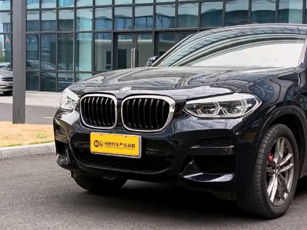 BMW X4 2021 из CN, фото 5