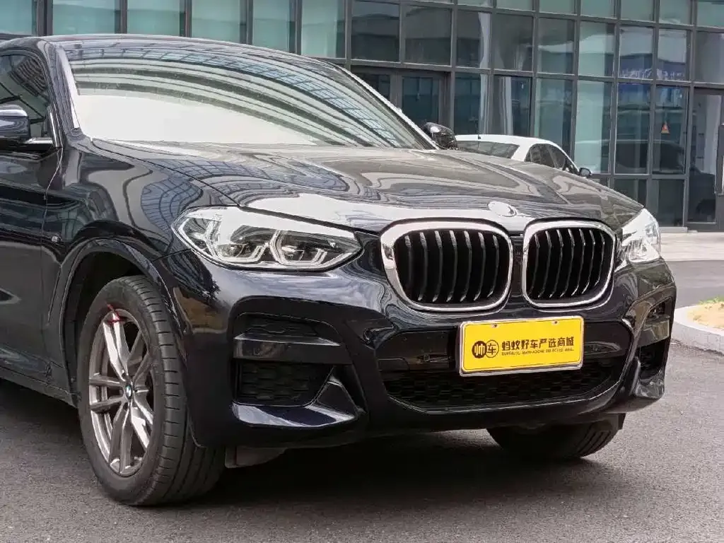 BMW X4 2021 из CN, фото 6
