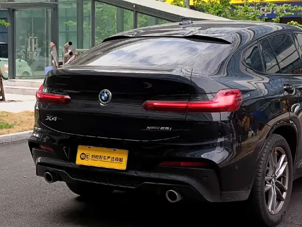 BMW X4 2021 из CN, фото 7