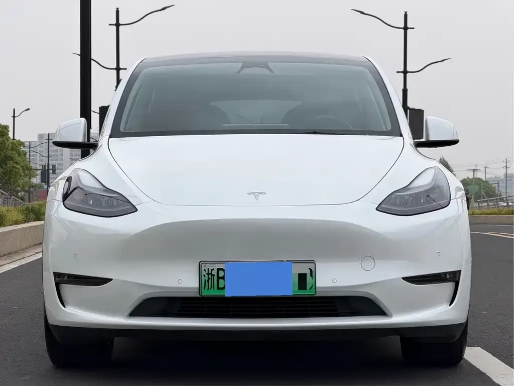 Tesla Model Y — фото 2