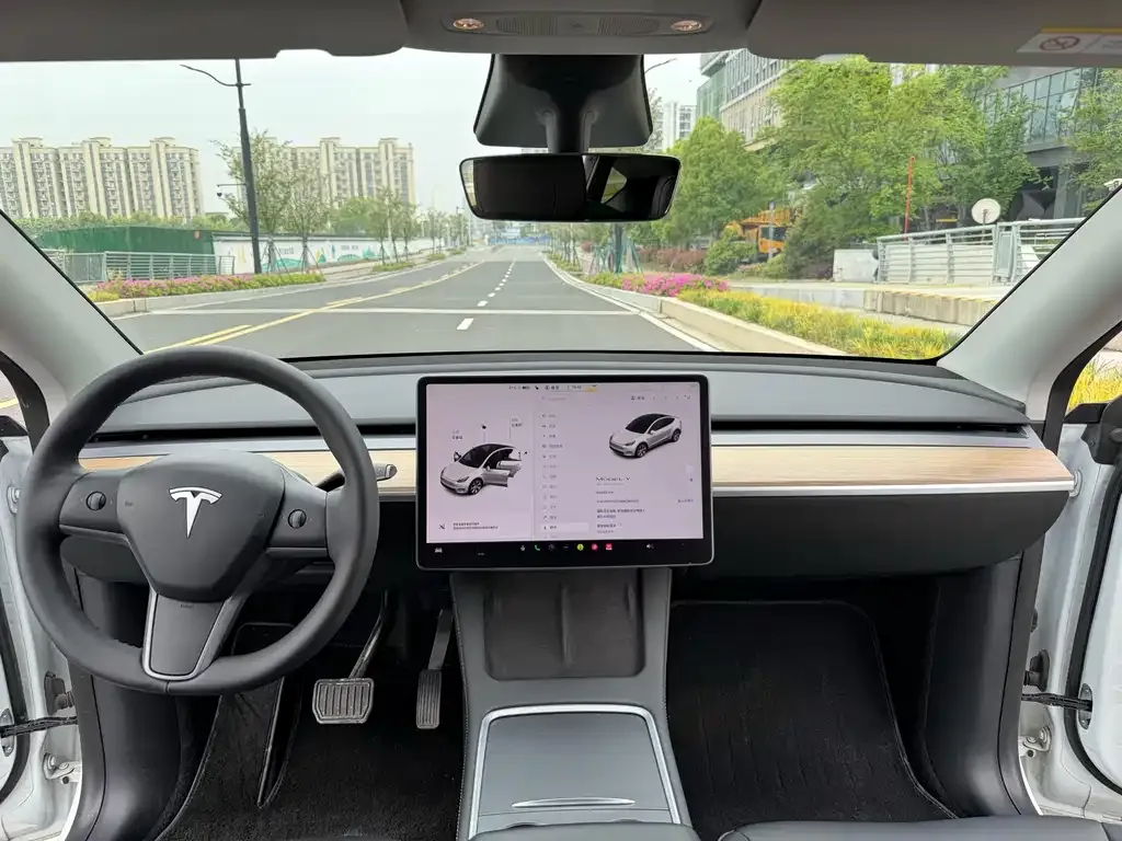 Tesla Model Y — фото 10