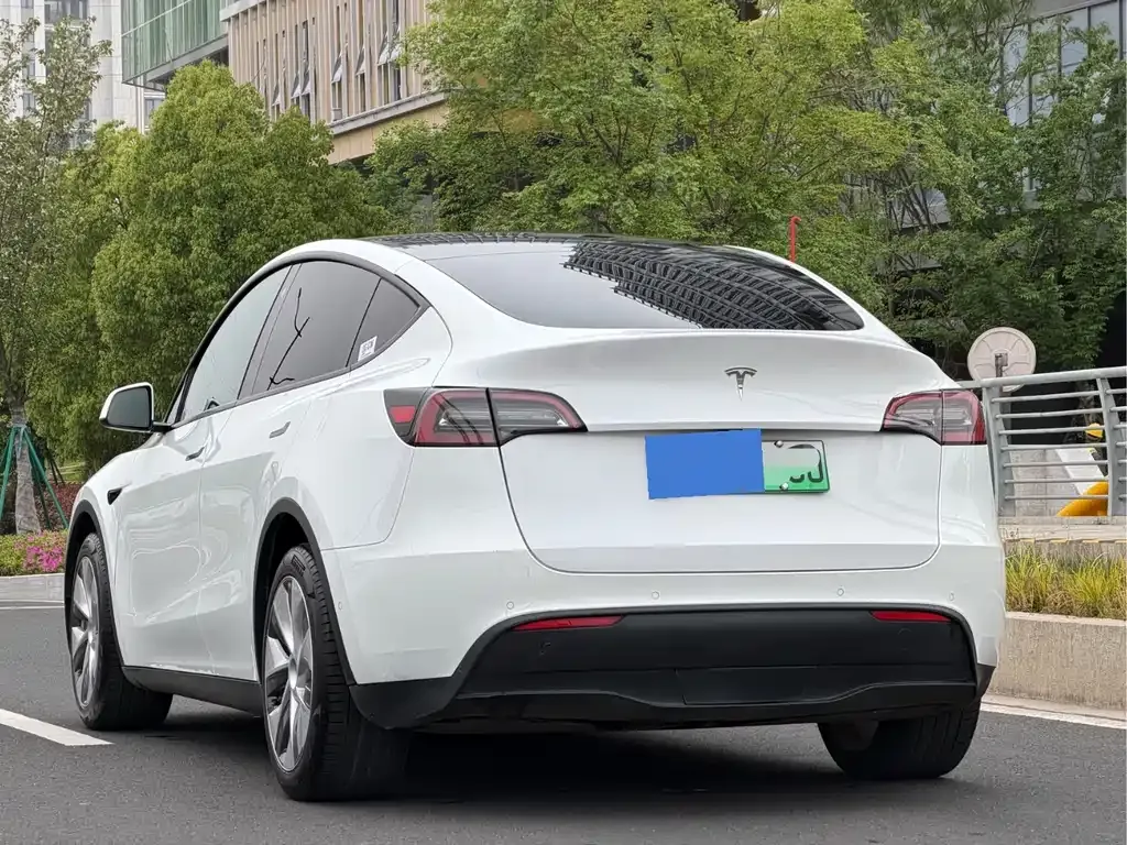 Tesla Model Y — фото 5