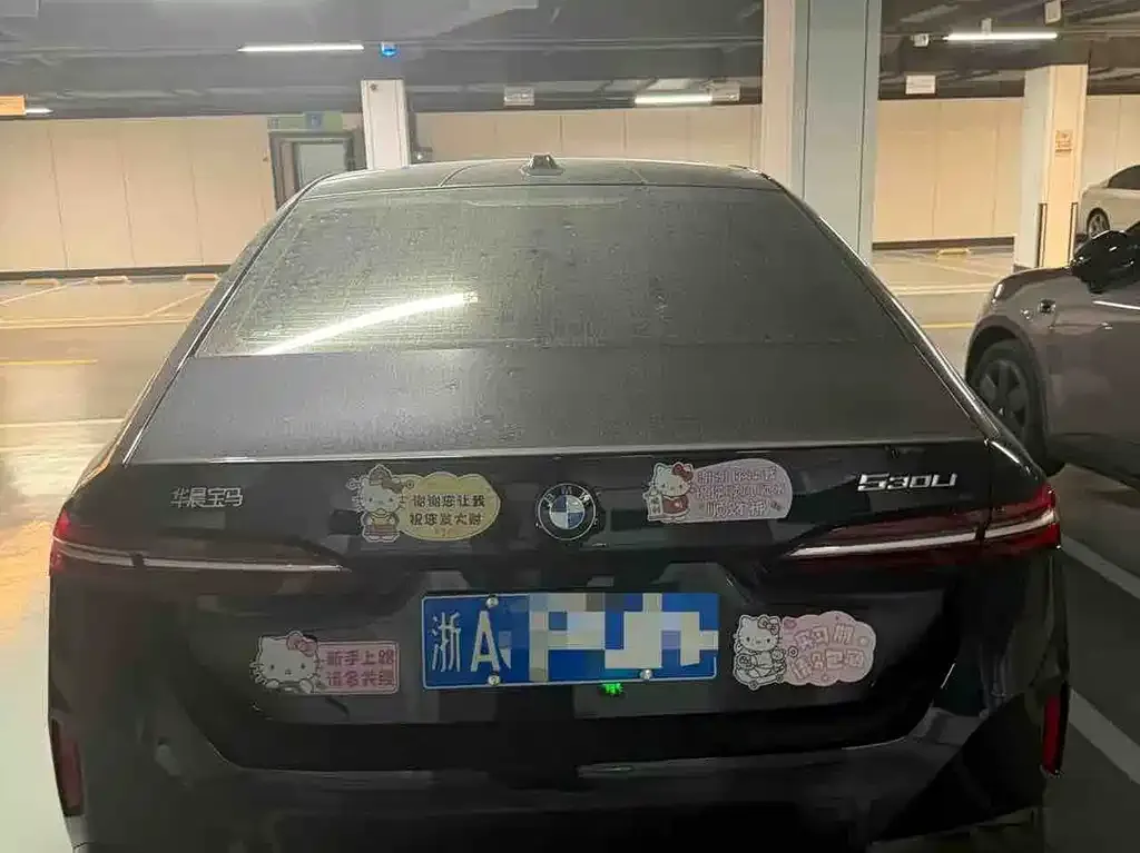 BMW 5 Series 2025 из CN, фото 8