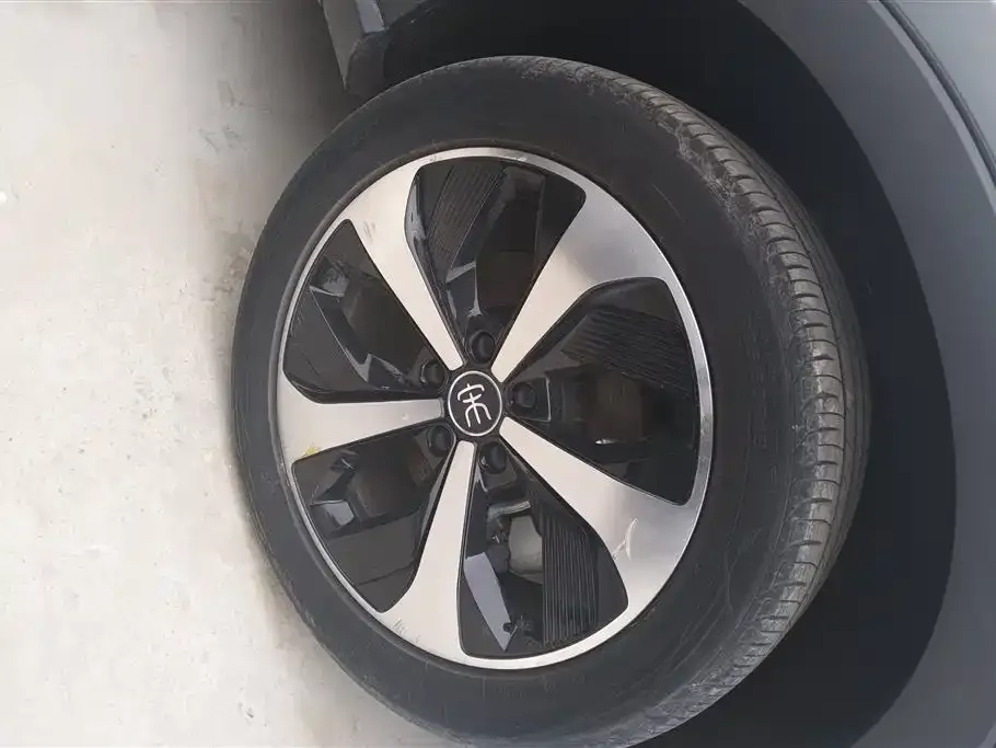 BYD PLUS New Energy — фото 4