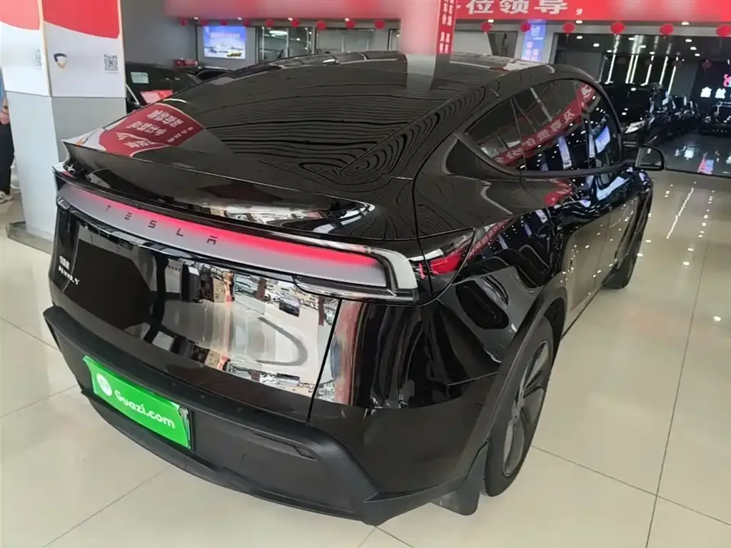 Tesla Model Y — фото 10