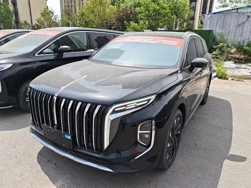 Hongqi HS7 PHEV 2025 из CN, фото 9