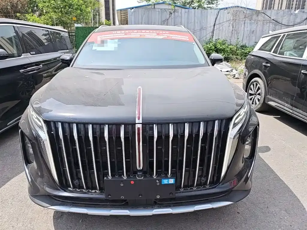 Hongqi HS7 PHEV 2025 из CN, фото 8