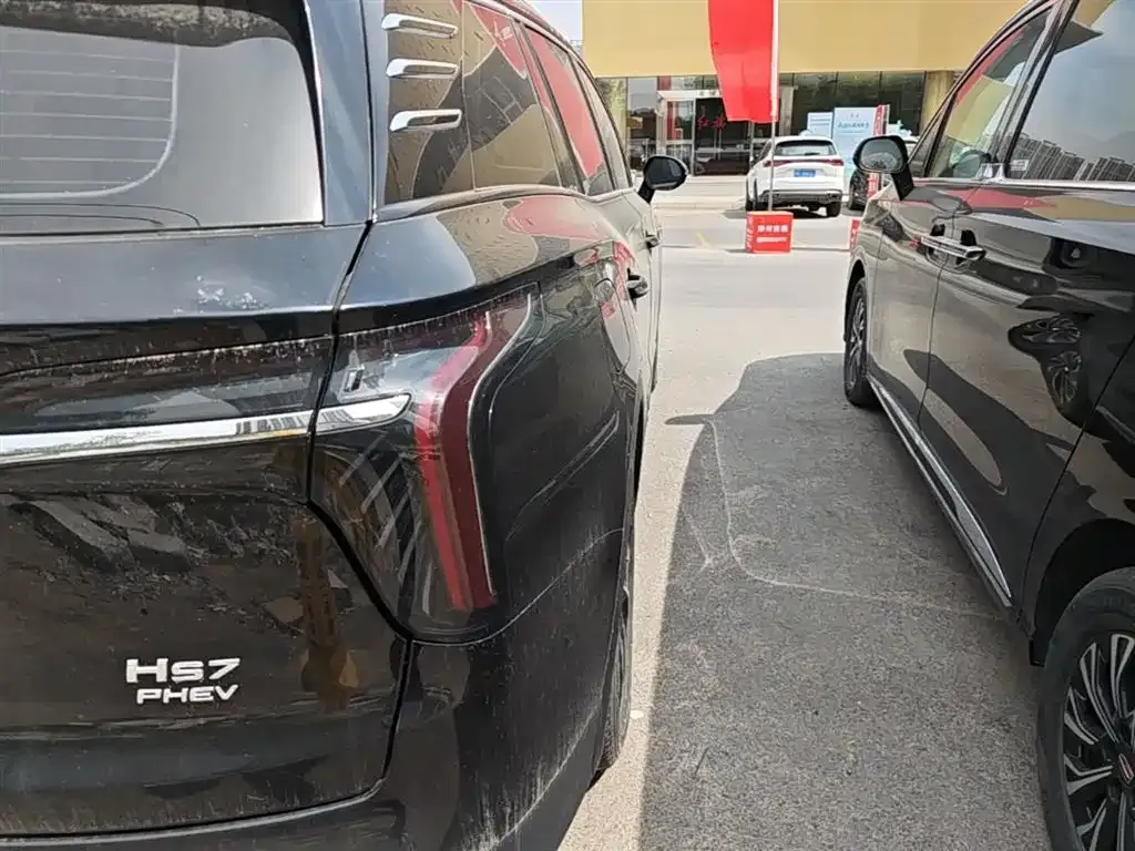 Hongqi HS7 PHEV 2025 из CN, фото 6