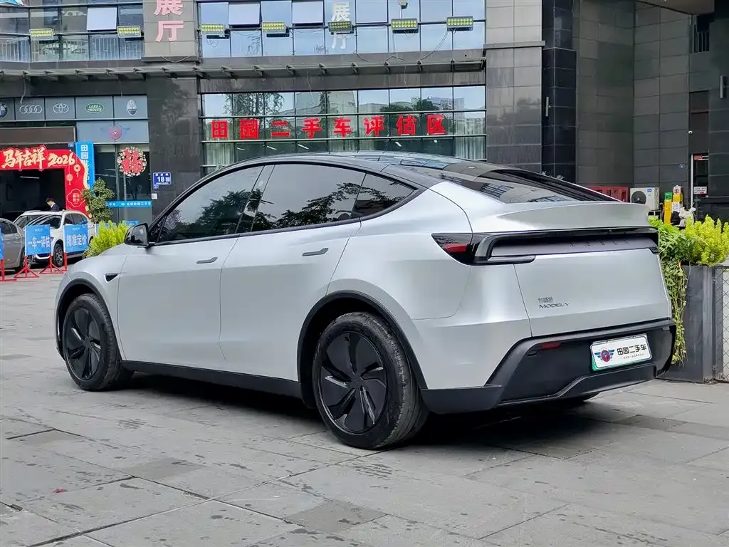 Tesla Model Y — фото 9
