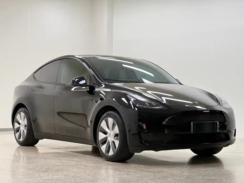 Tesla Model Y — фото 10
