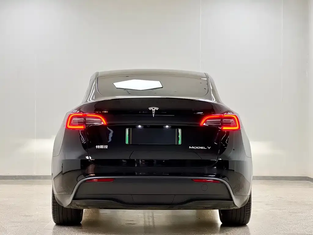 Tesla Model Y — фото 5