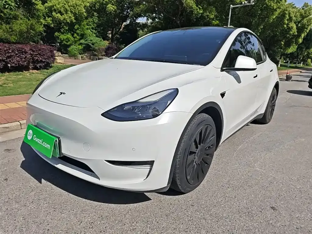 Tesla Model Y — фото 10