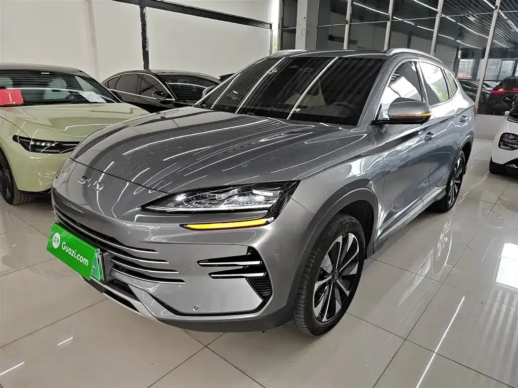 BYD PLUS New Energy — фото 10