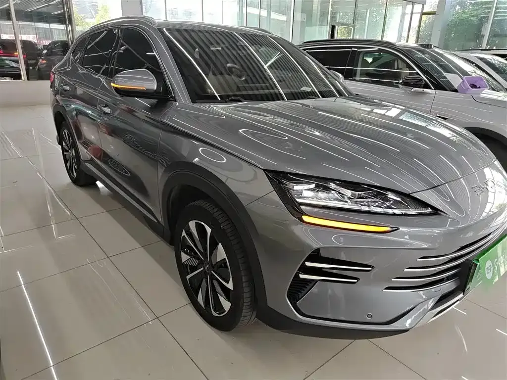 BYD PLUS New Energy — фото 4