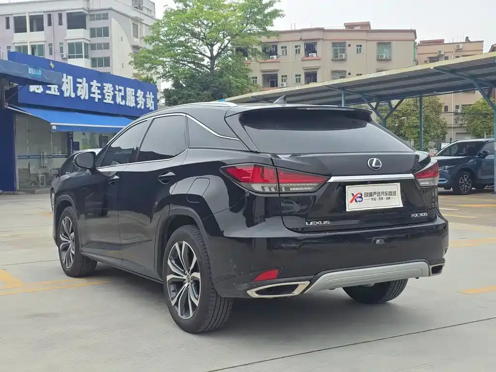 Lexus RX — фото 10