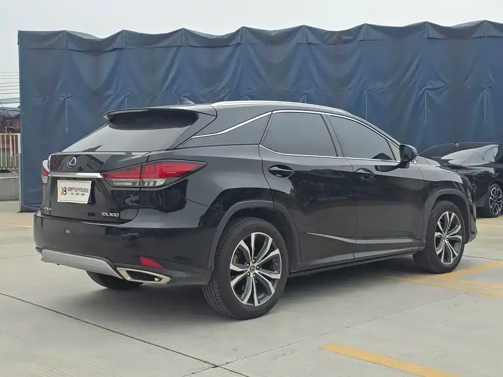 Lexus RX — фото 5