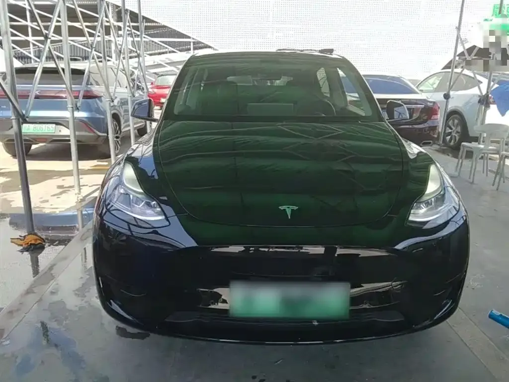 Tesla Model Y — фото 3