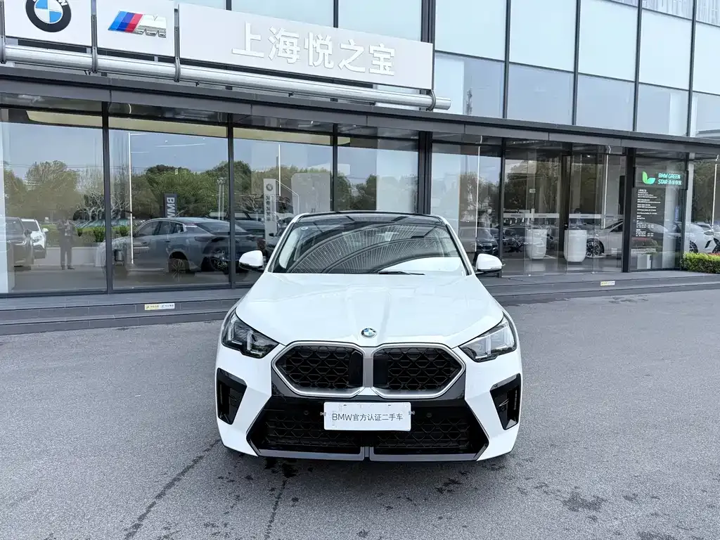 BMW X2 (Import) 2025 из CN, фото 5