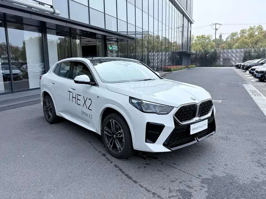 BMW X2 (Import) 2025 из CN, фото 7