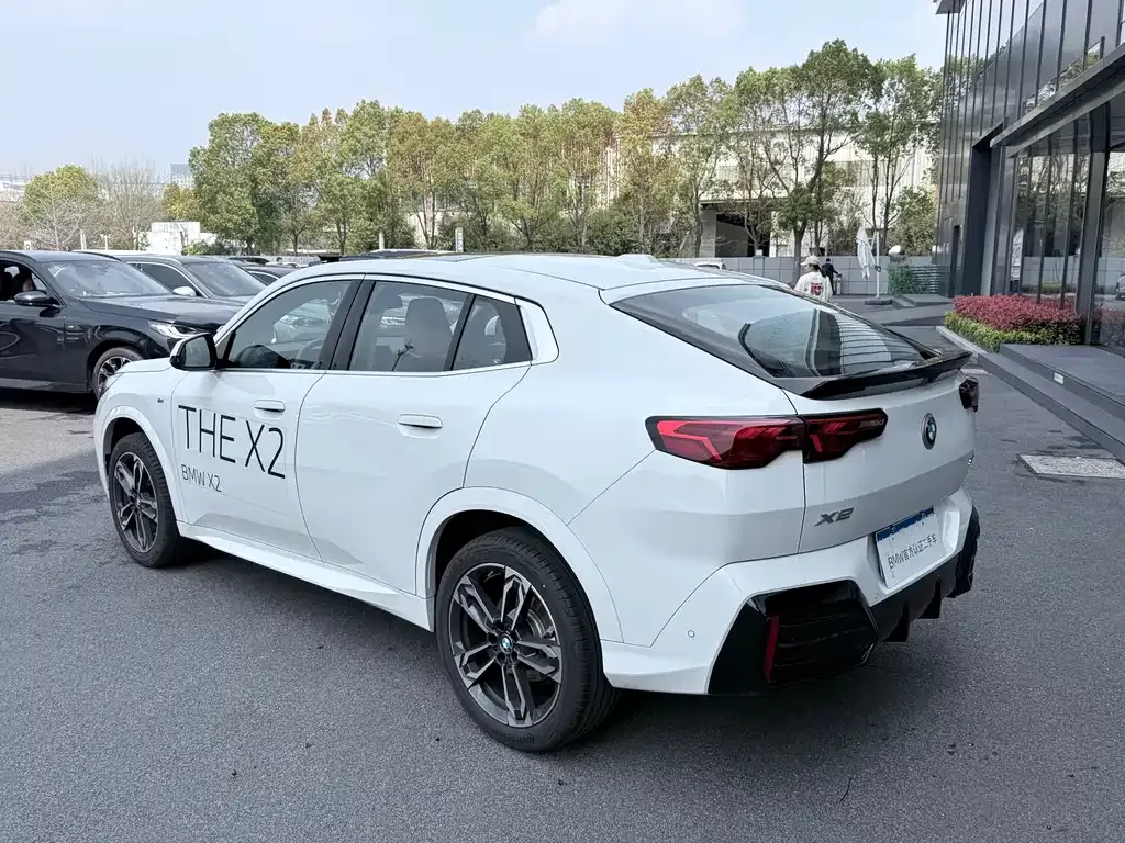 BMW X2 (Import) 2025 из CN, фото 9