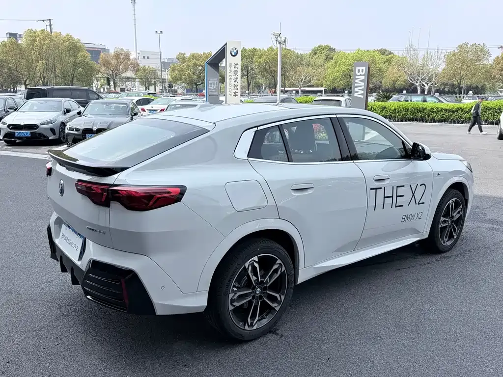 BMW X2 (Import) 2025 из CN, фото 8