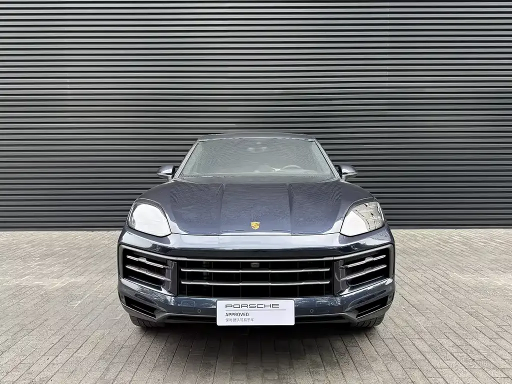 Porsche Cayenne — фото 10