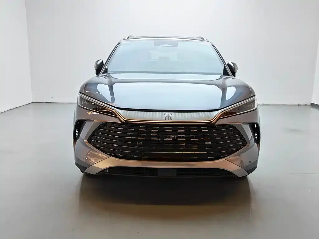 BYD L DM-i — фото 2