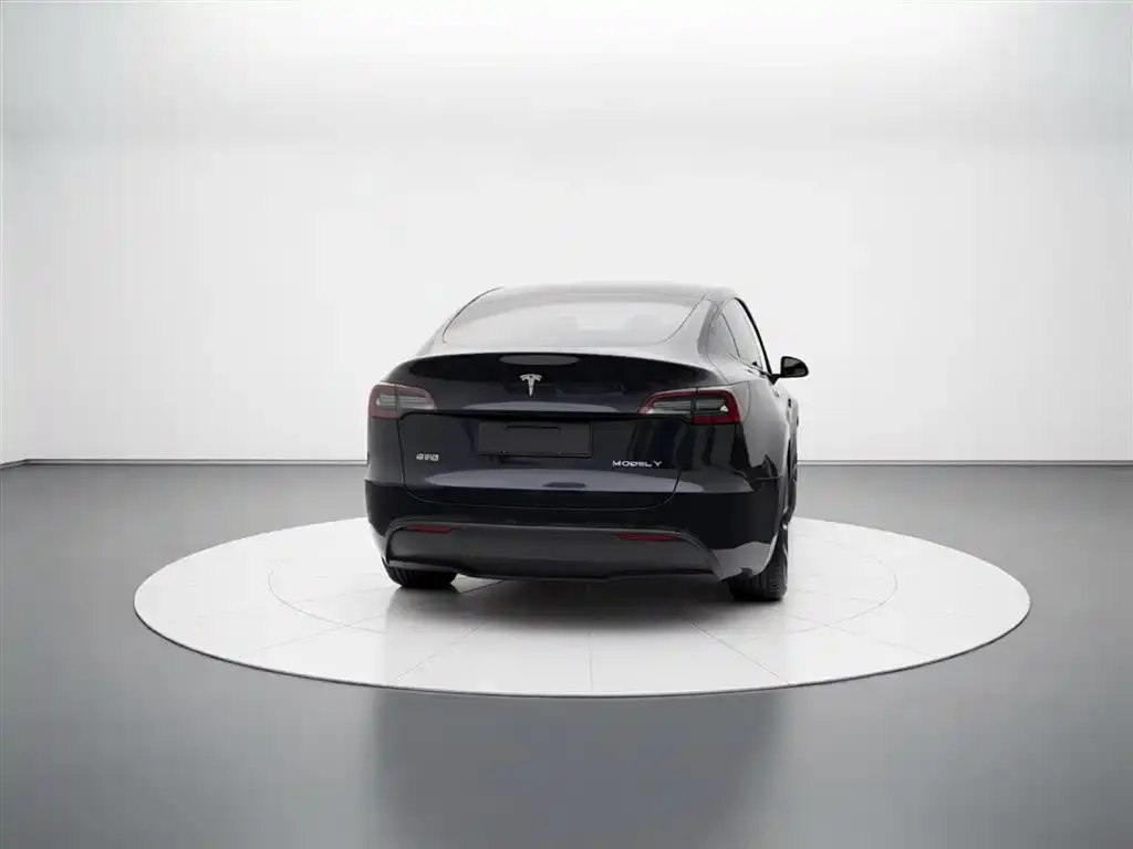 Tesla Model Y — фото 5