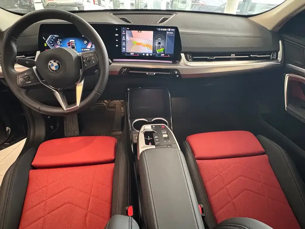 BMW X2 (Import) 2025 из CN, фото 9