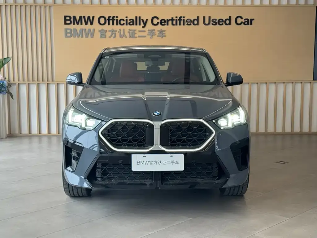 BMW X2 (Import) 2025 из CN, фото 4