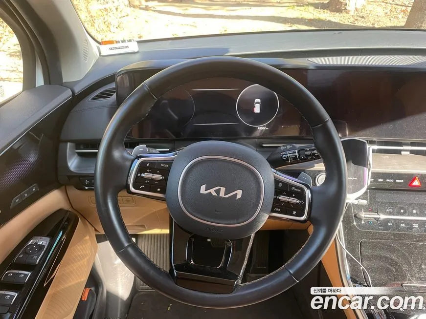 Kia Carnival — фото 10