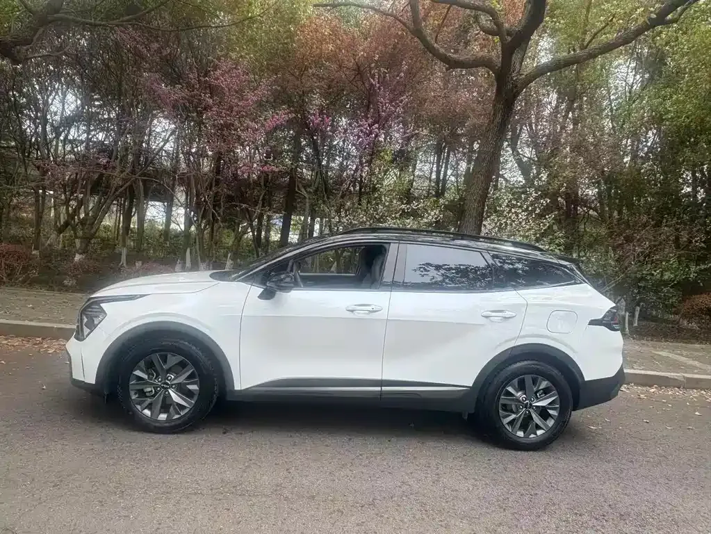 Kia Sportage — фото 9