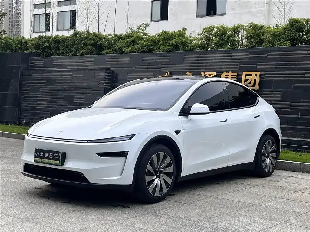 Tesla Model Y — фото 1