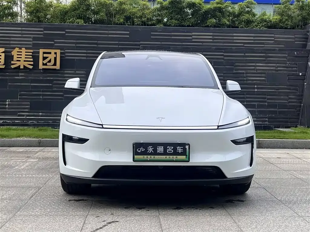 Tesla Model Y — фото 6