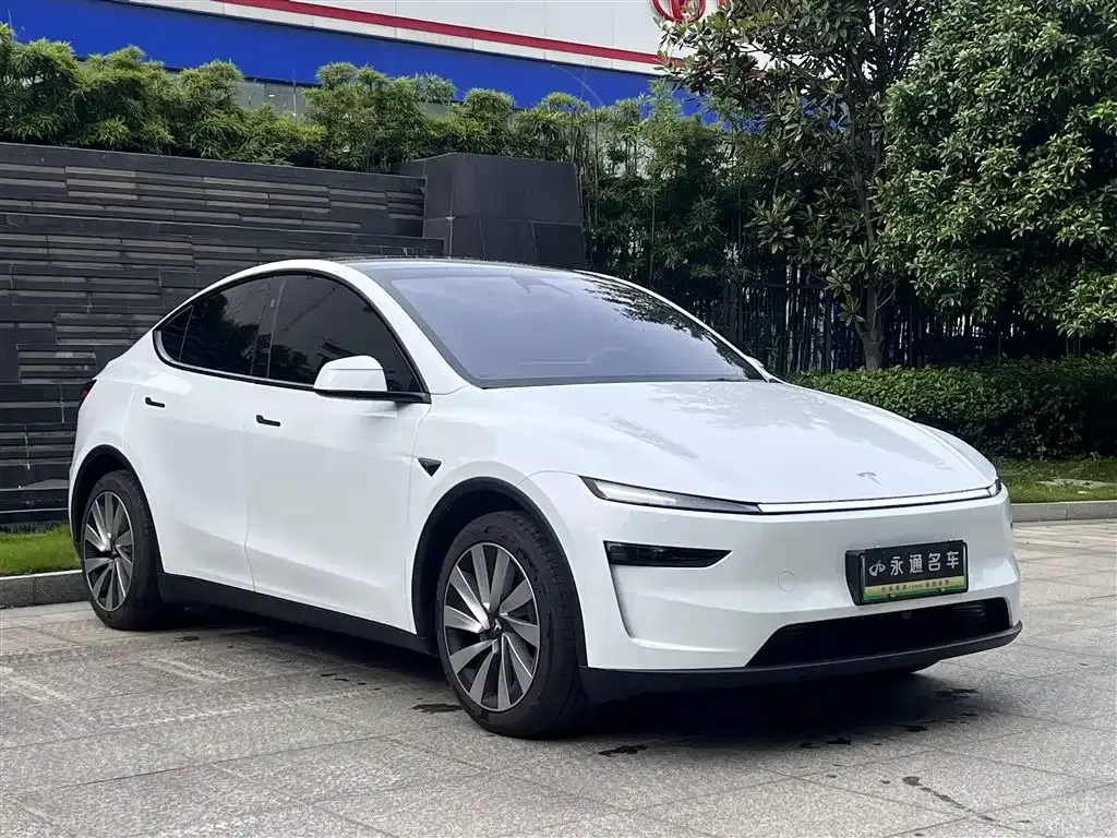 Tesla Model Y — фото 9