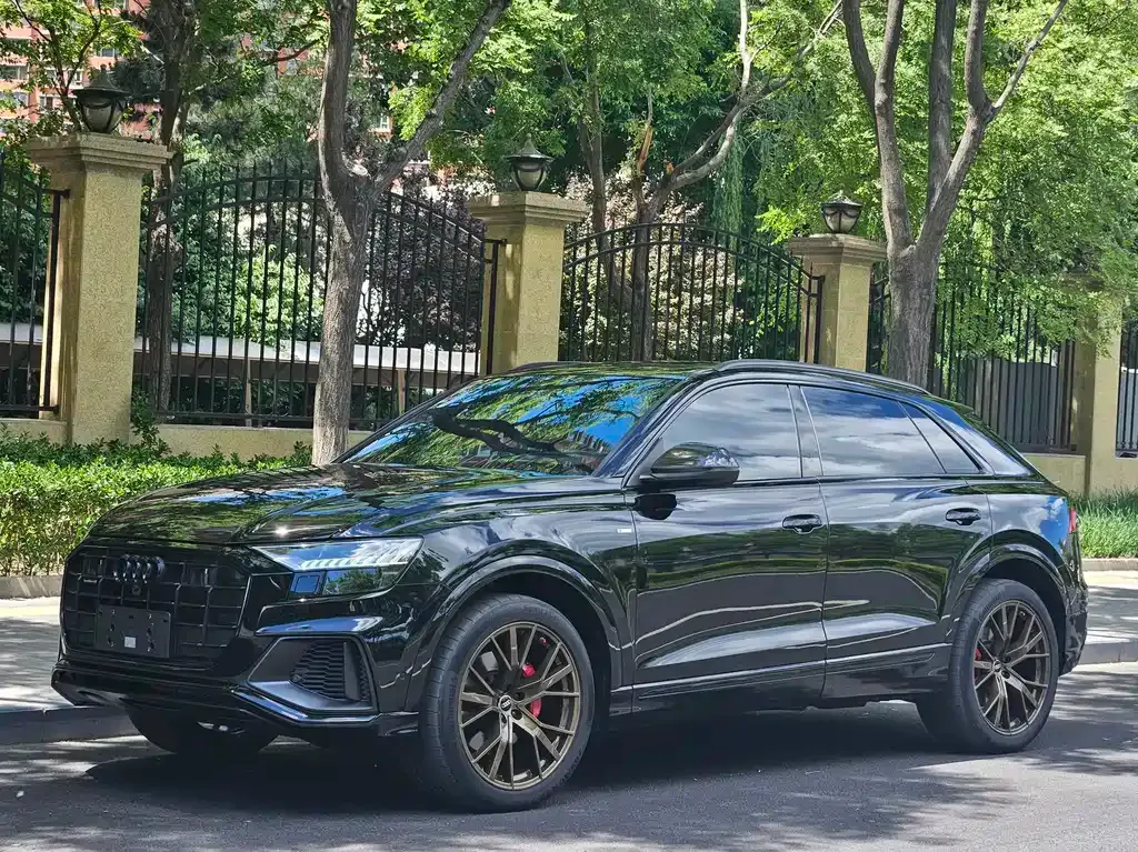 Audi Q8 2023 из CN, фото 1