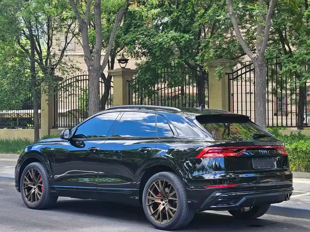 Audi Q8 2023 из CN, фото 9