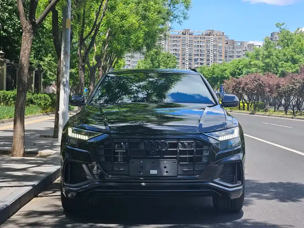 Audi Q8 2023 из CN, фото 10