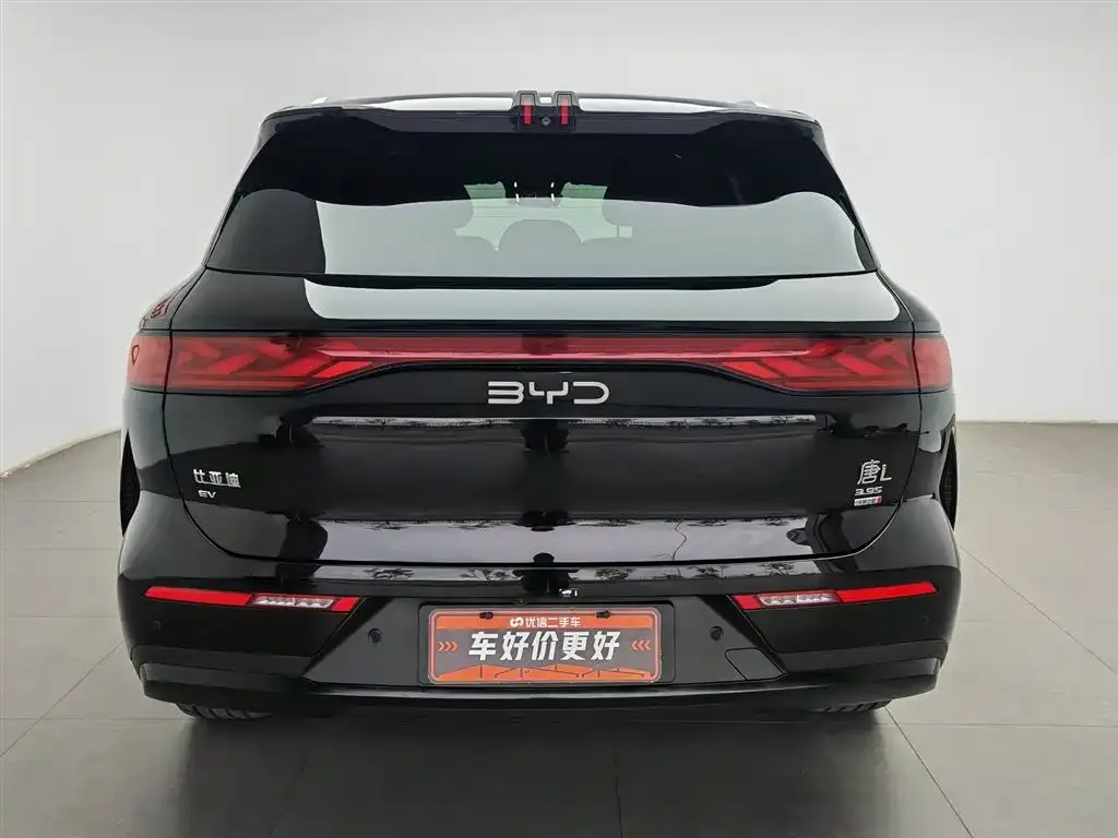 BYD Tang L — фото 3