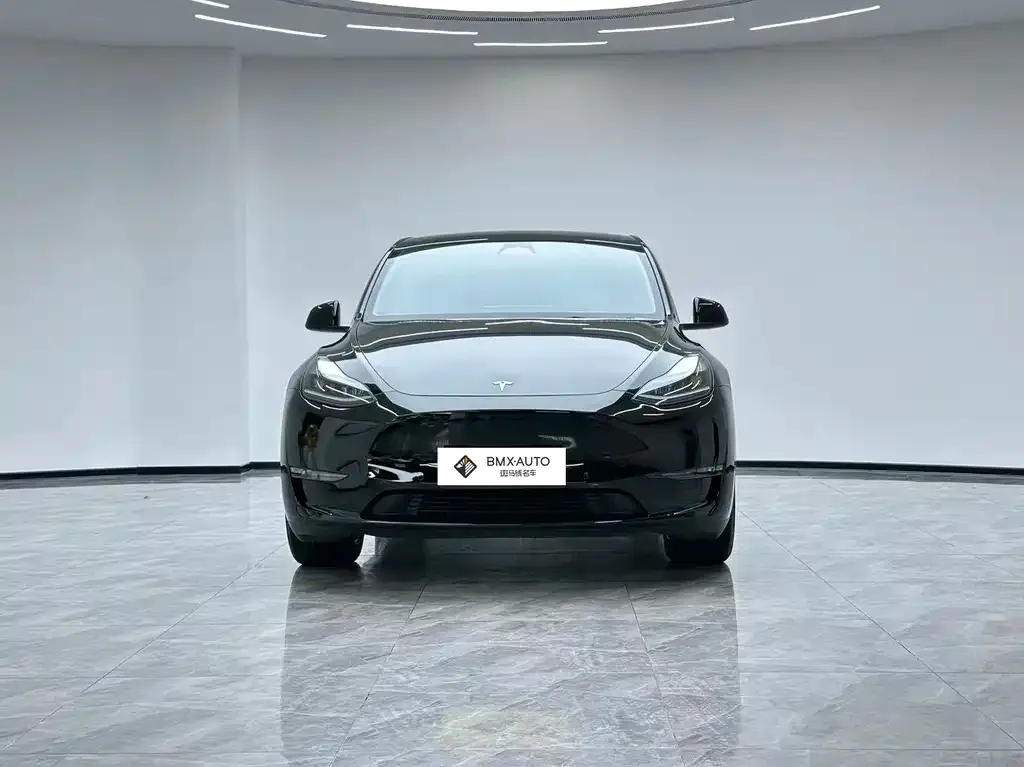 Tesla Model Y — фото 5