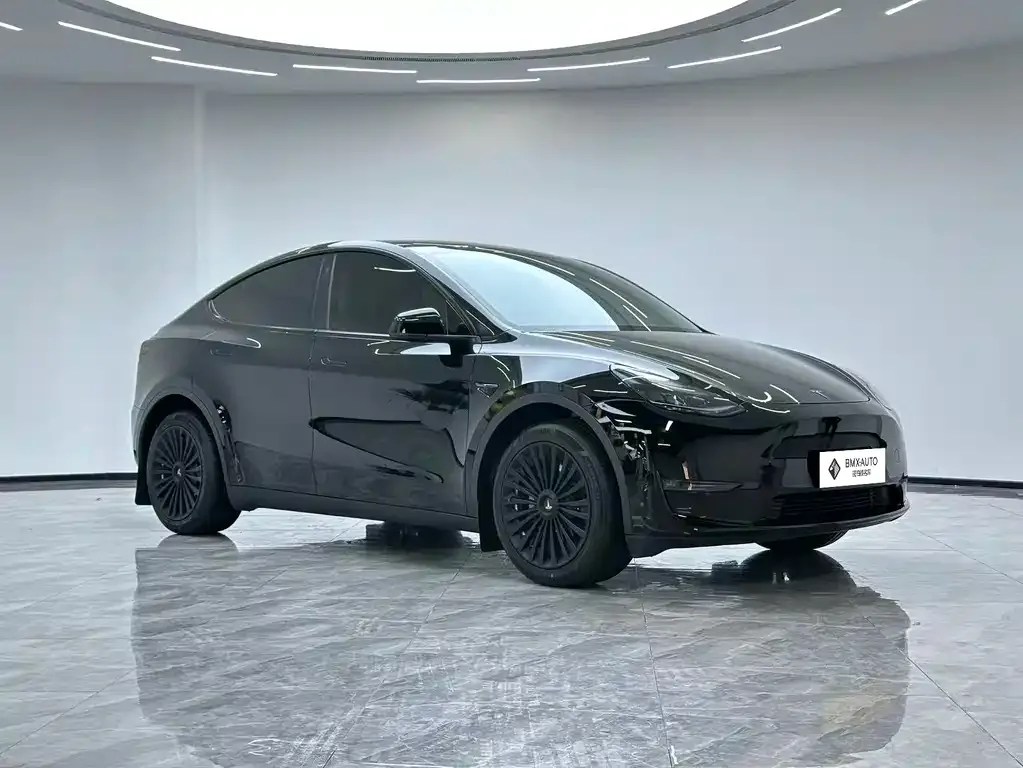 Tesla Model Y — фото 6