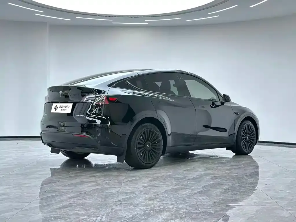 Tesla Model Y — фото 4