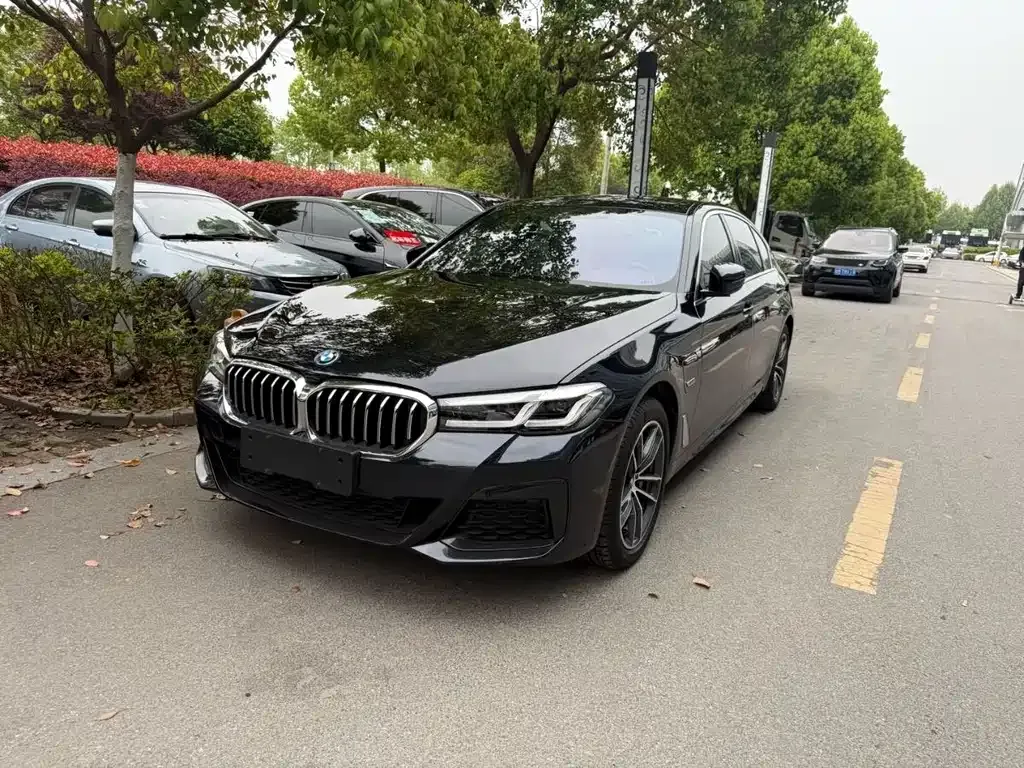 BMW 5 Series New Energy