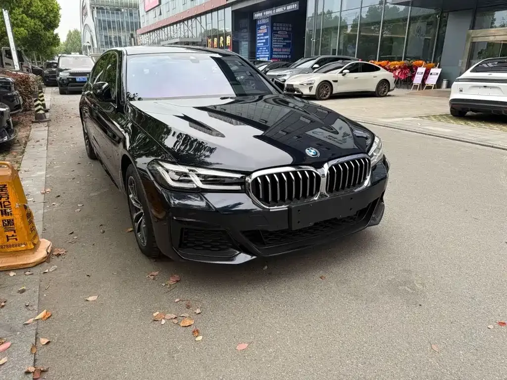 BMW 5 Series New Energy 2024 из CN, фото 7