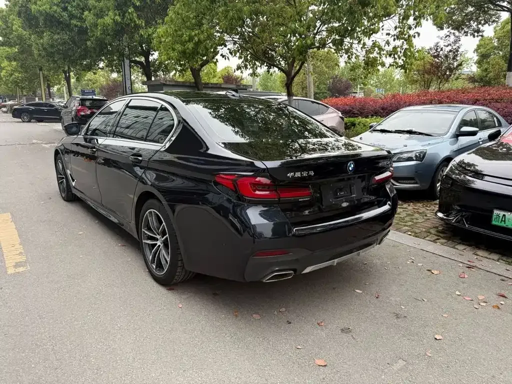 BMW 5 Series New Energy 2024 из CN, фото 6