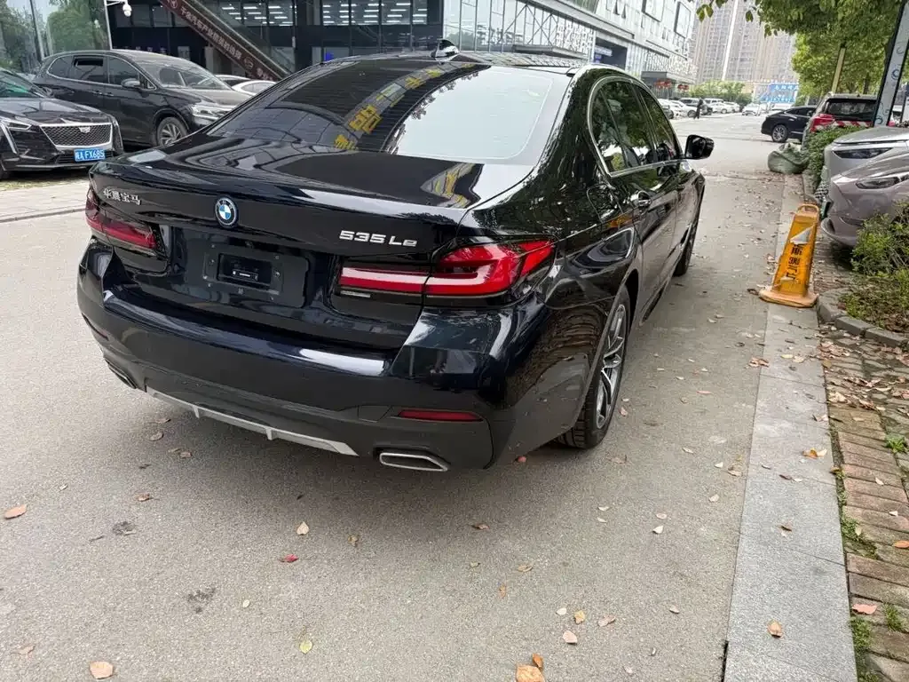 BMW 5 Series New Energy 2024 из CN, фото 8