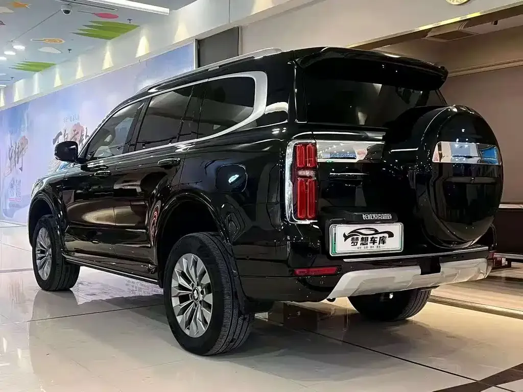 Tank 500 New Energy 2024 из CN, фото 3