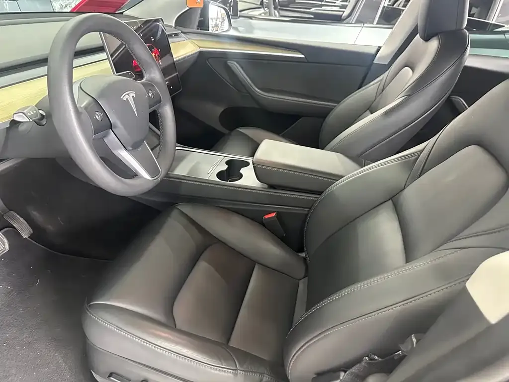 Tesla Model Y — фото 10