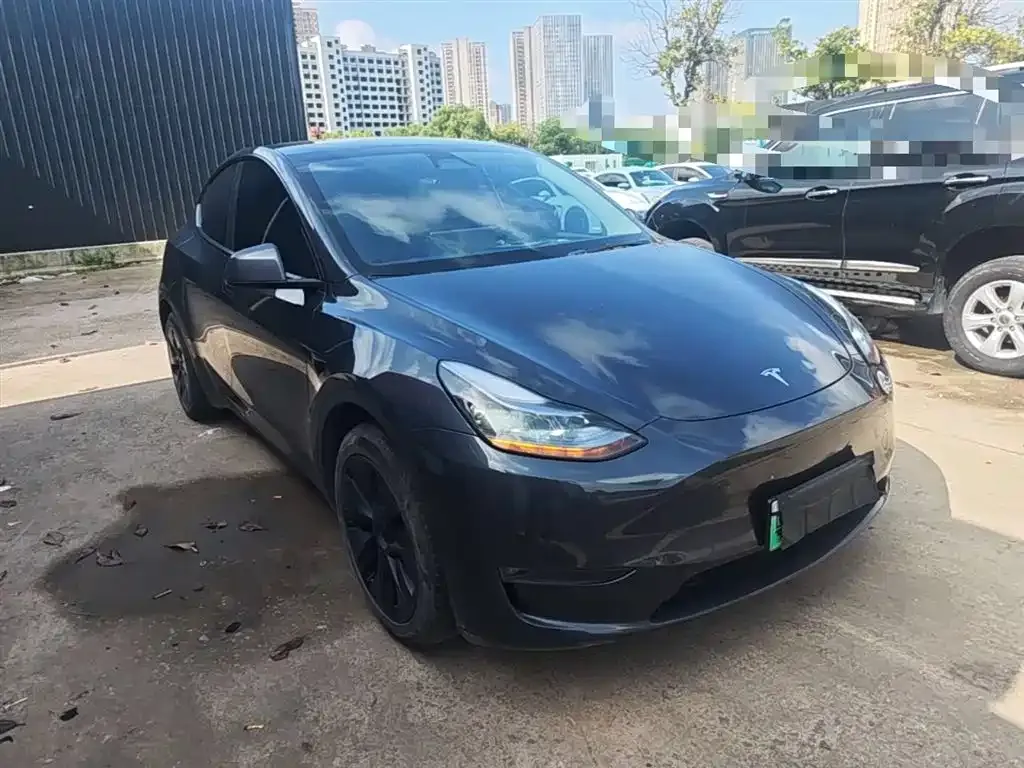 Tesla Model Y — фото 3